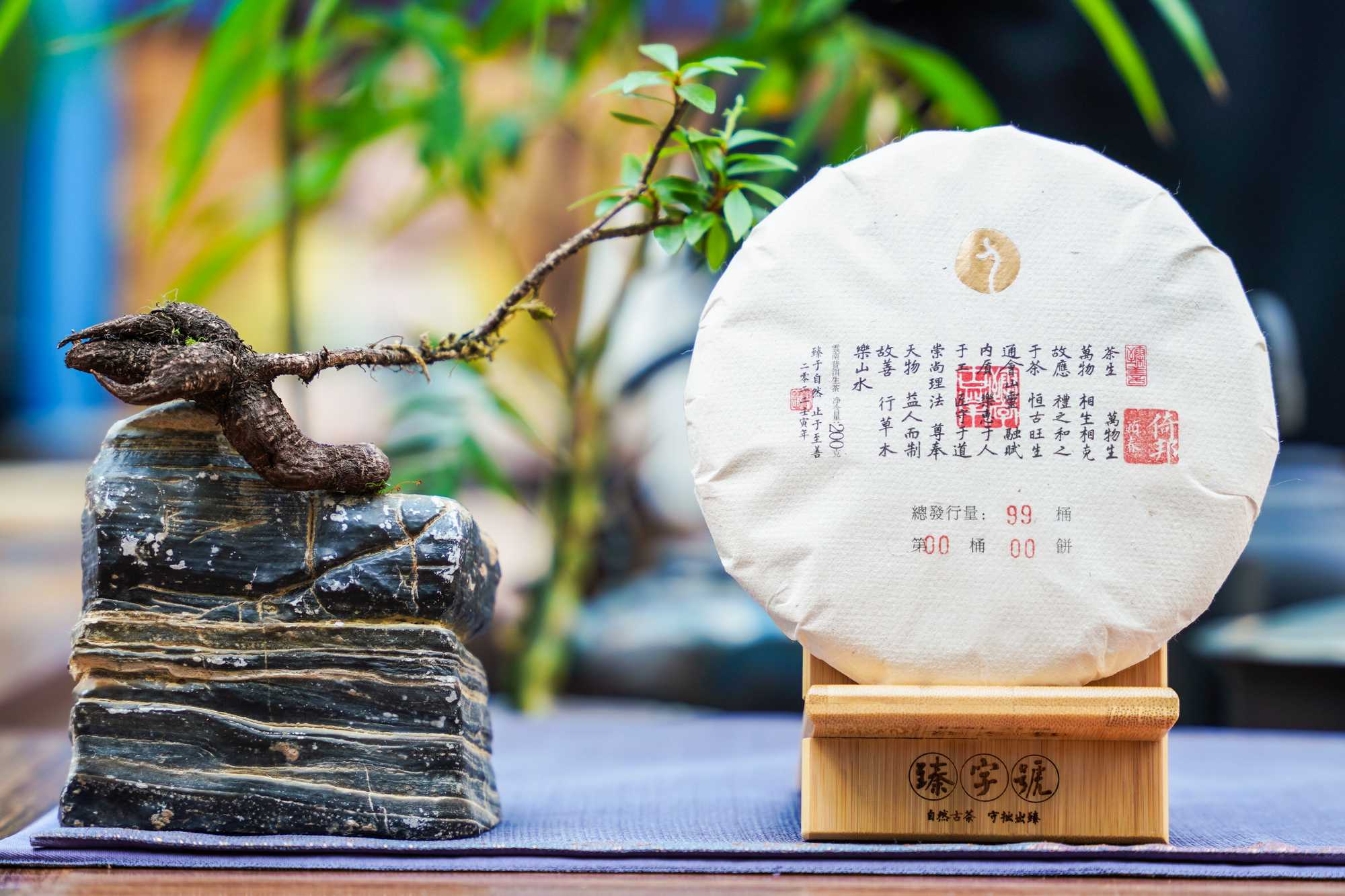 藏·活动丨探寻古风美学，感受雅集韵味——记西园雅集新闻茶会(图19)