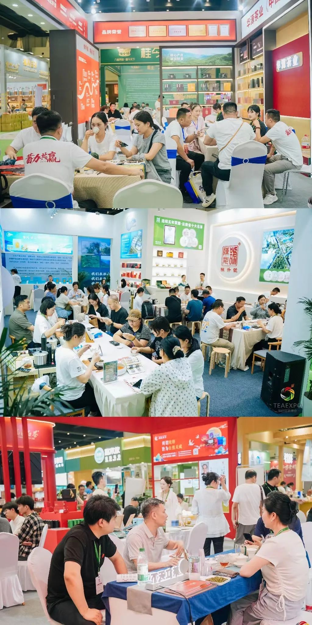 天下收藏携手华巨臣 走进郑州国际会展中心(图2) 天下收藏携手华巨臣 走进郑州国际会展中心(图2)