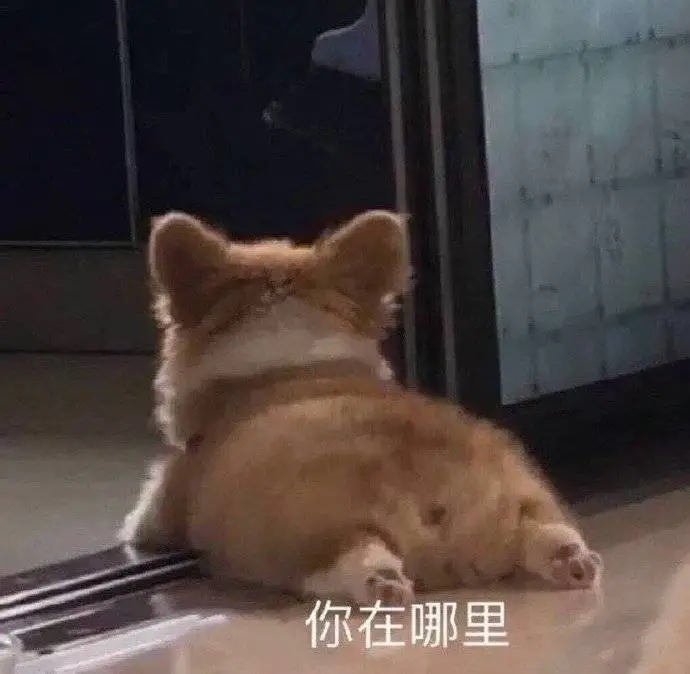 防汛进行时 | 防汛排涝第一线 风雨无阻保安全(图1)