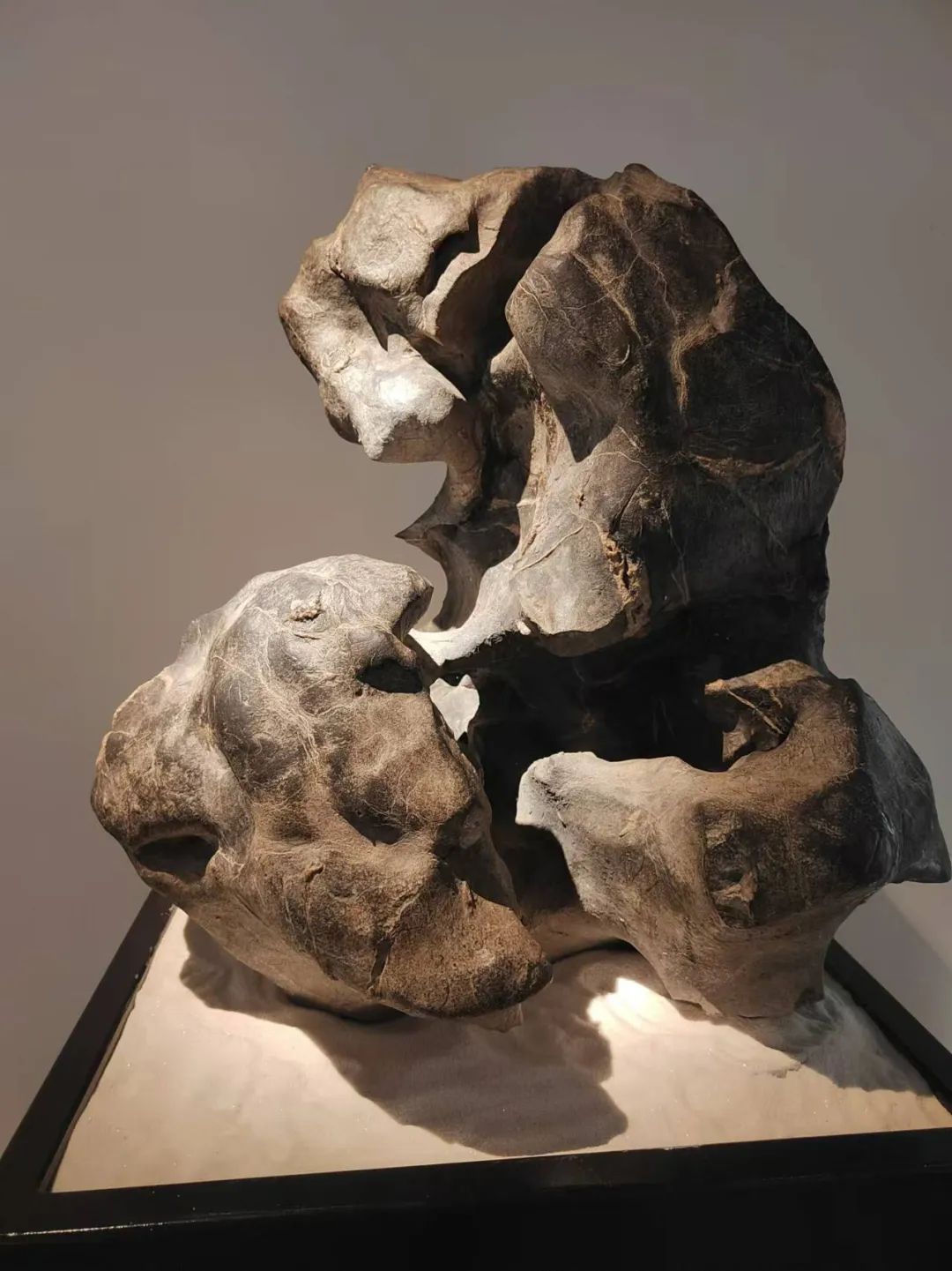 藏•展览丨集物store“拾趣集藏物品收集特展”——19届晋陕豫苏交流会天下收藏商户联展(图5)