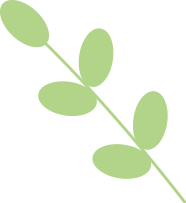 携手红如意：厚植文化基因，凝聚睦邻合力(图3)