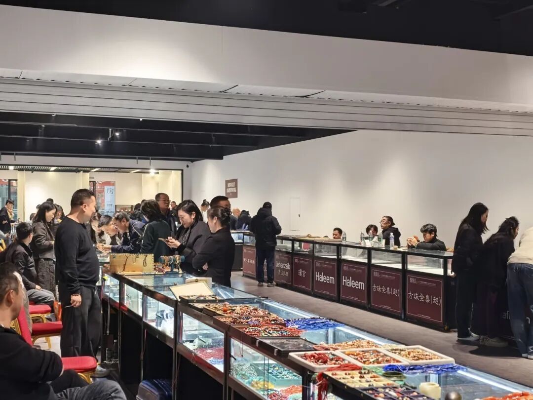 珠光璀璨·文明共鉴｜天下收藏首届2025古代珠饰文化交流会圆满落幕！(图11)